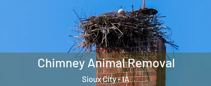  Chimney Animal Removal Sioux City - IA