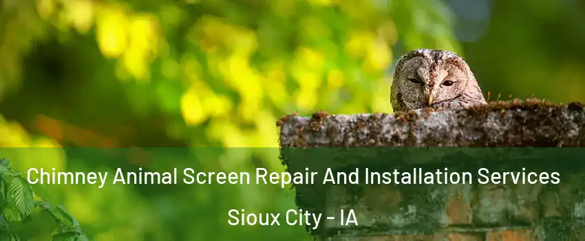  Chimney Animal Screen Repair And Installation Services Sioux City - IA