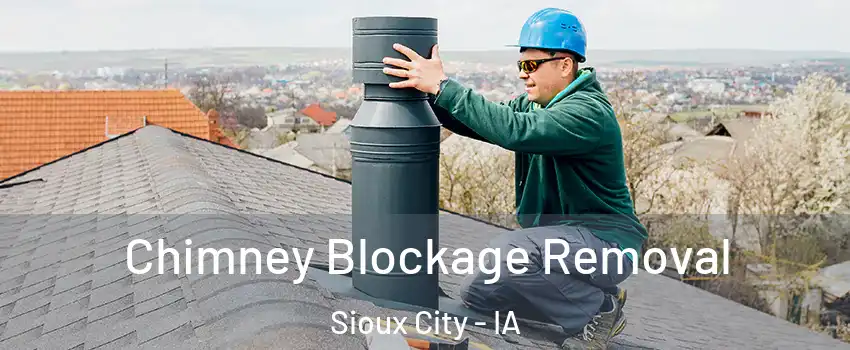  Chimney Blockage Removal Sioux City - IA