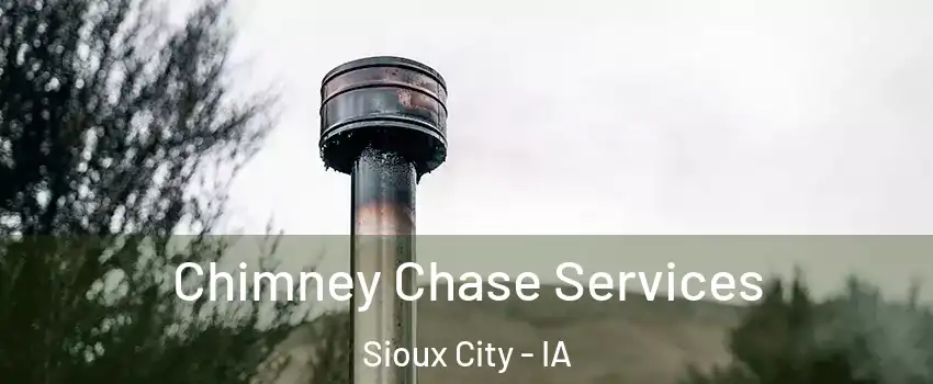  Chimney Chase Services Sioux City - IA