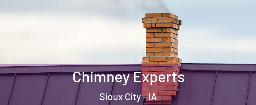  Chimney Experts Sioux City - IA