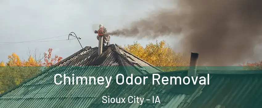  Chimney Odor Removal Sioux City - IA