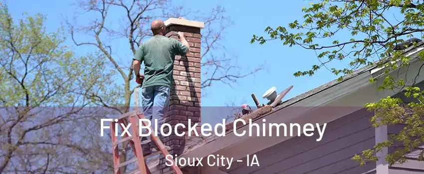  Fix Blocked Chimney Sioux City - IA