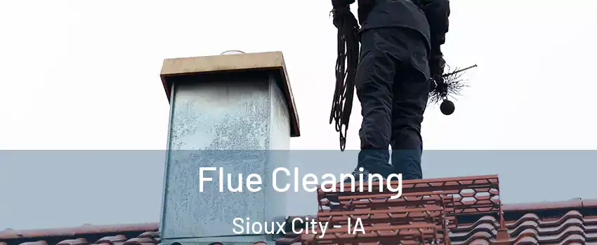  Flue Cleaning Sioux City - IA