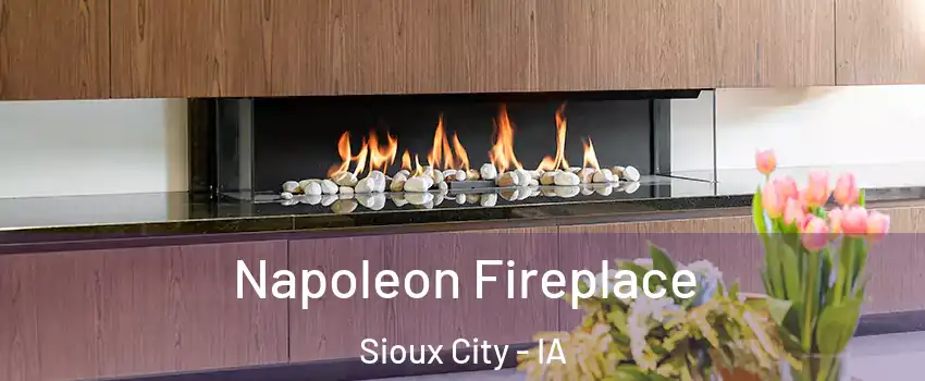  Napoleon Fireplace Sioux City - IA